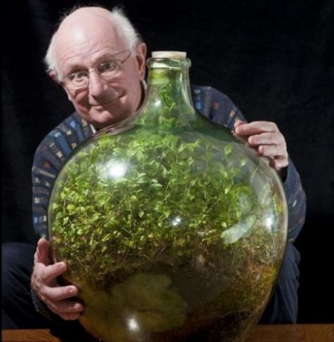 Рослина, яку наглухо закрили 40 років тому, сама виробляє кисень і воду