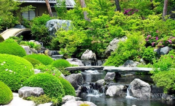 Сад-музей Адачі, Японія - цікаві факти