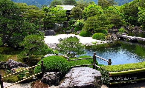Сад-музей Адачі, Японія - цікаві факти