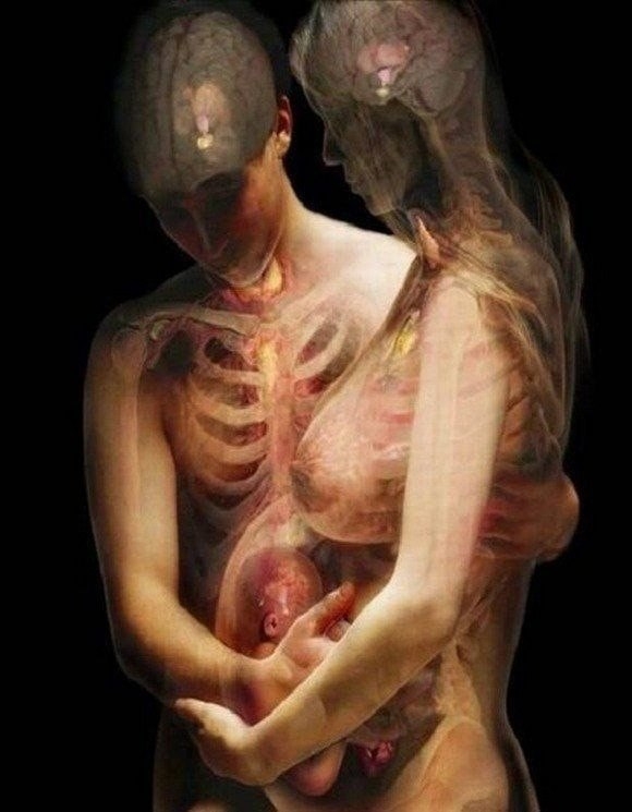 Тіло людини в рентгенівських променях