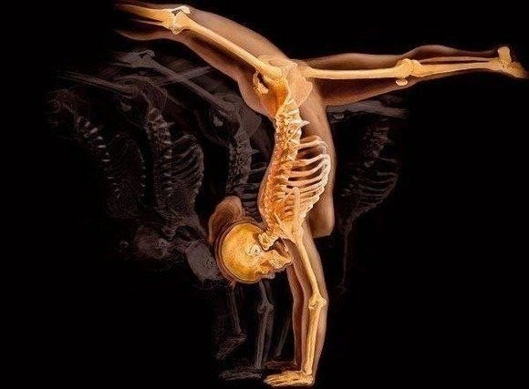 Тіло людини в рентгенівських променях