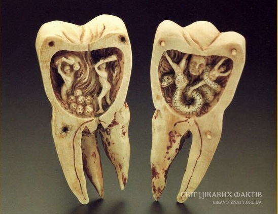 Цікаві факти про зуби