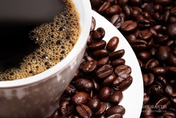 Чому слід пити чашку кави в день?