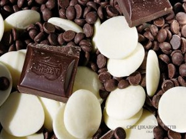 Цікаві факти про шоколад